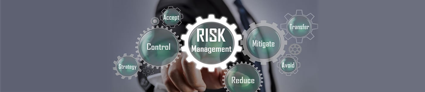Certified Financial Risk Management Consultant - CFRMC 